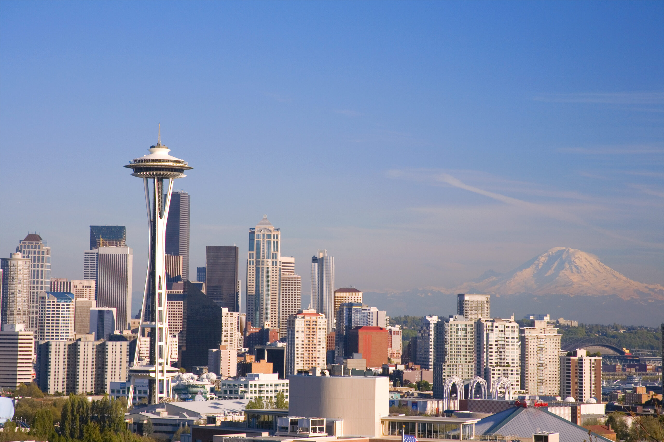 Rainier and Needle